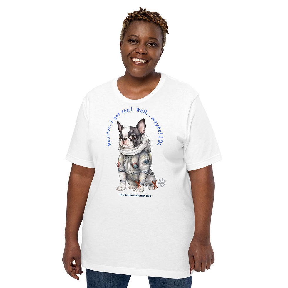 Thumbnail: T-Shirt | 5 Colors | Unisex | Sizes: XS - 5XL | Boston Houston I Got This