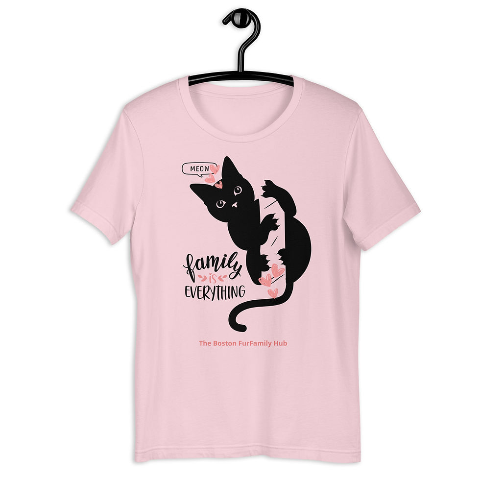 Thumbnail: T-Shirt | 5 Colors | Unisex | Sizes: XS - 5XL | Black Cat Everything is Family