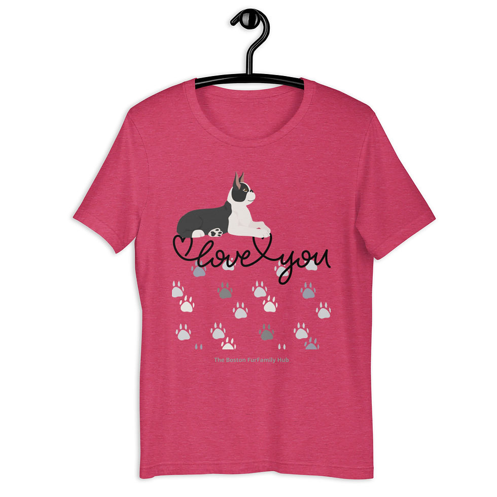 Thumbnail: T-Shirt | 9 Color | Unisex | Sizes: XS - 5XL | Boston I Love You