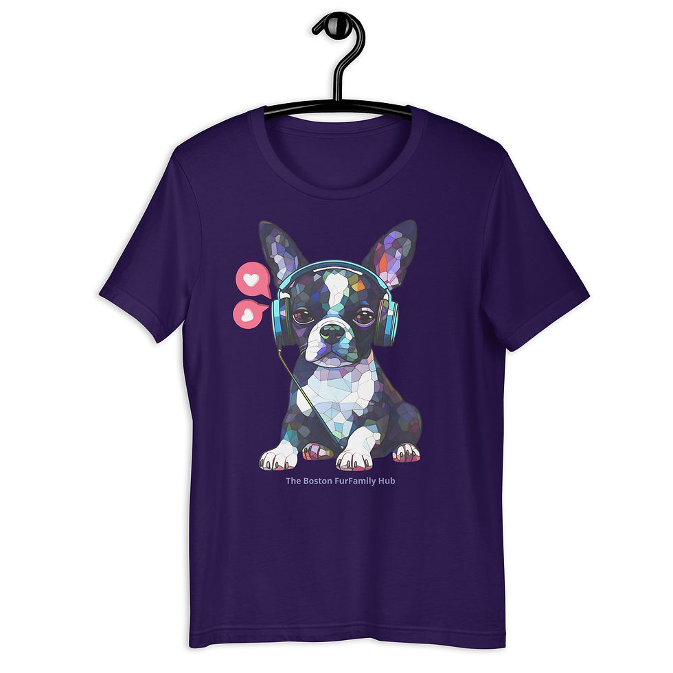 Thumbnail: T-Shirt | 5 Colors | Unisex | Sizes: XS - 5XL | Boston Let's Jam