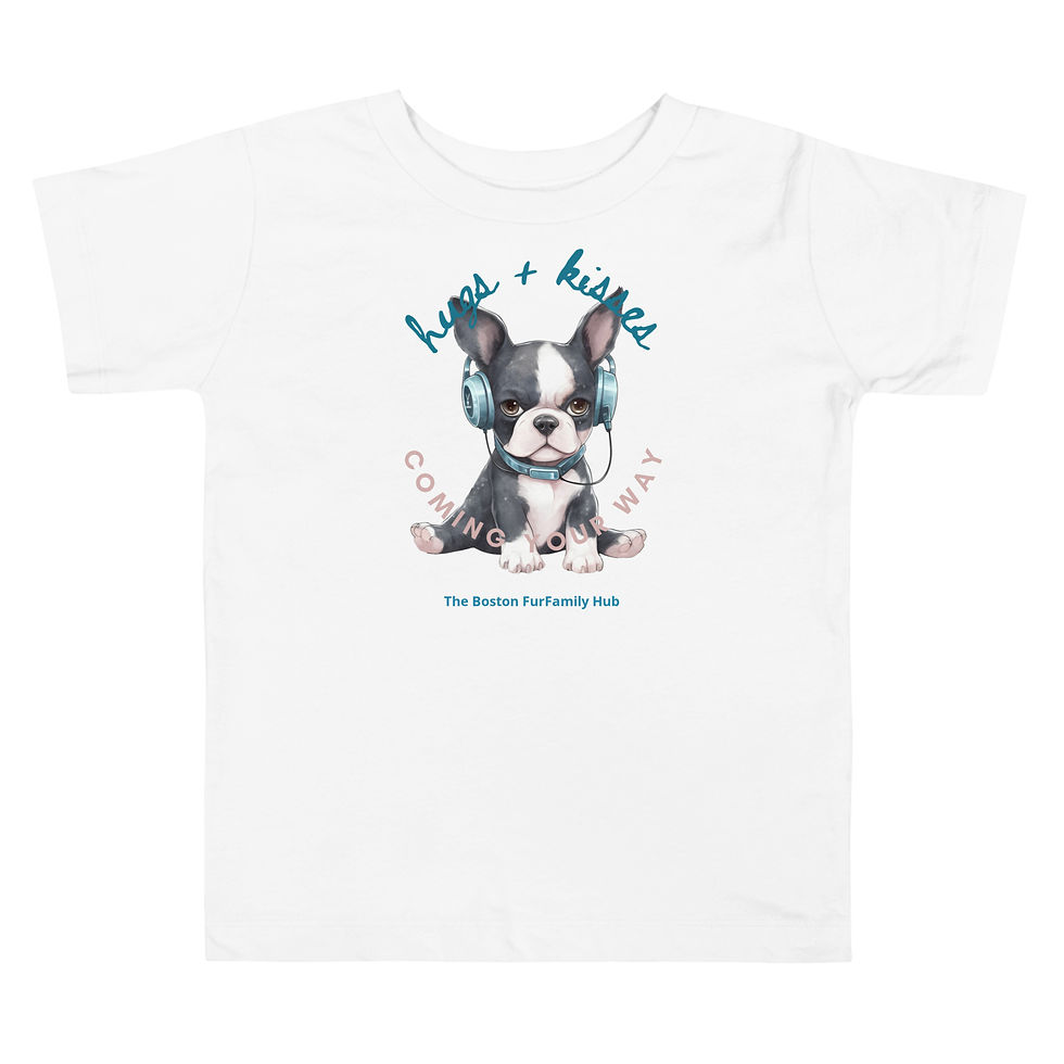Thumbnail: Toddler T-shirt | 3 Colors | Sizes: 2T - 5T | Boston Hugs + Kisses Your Way