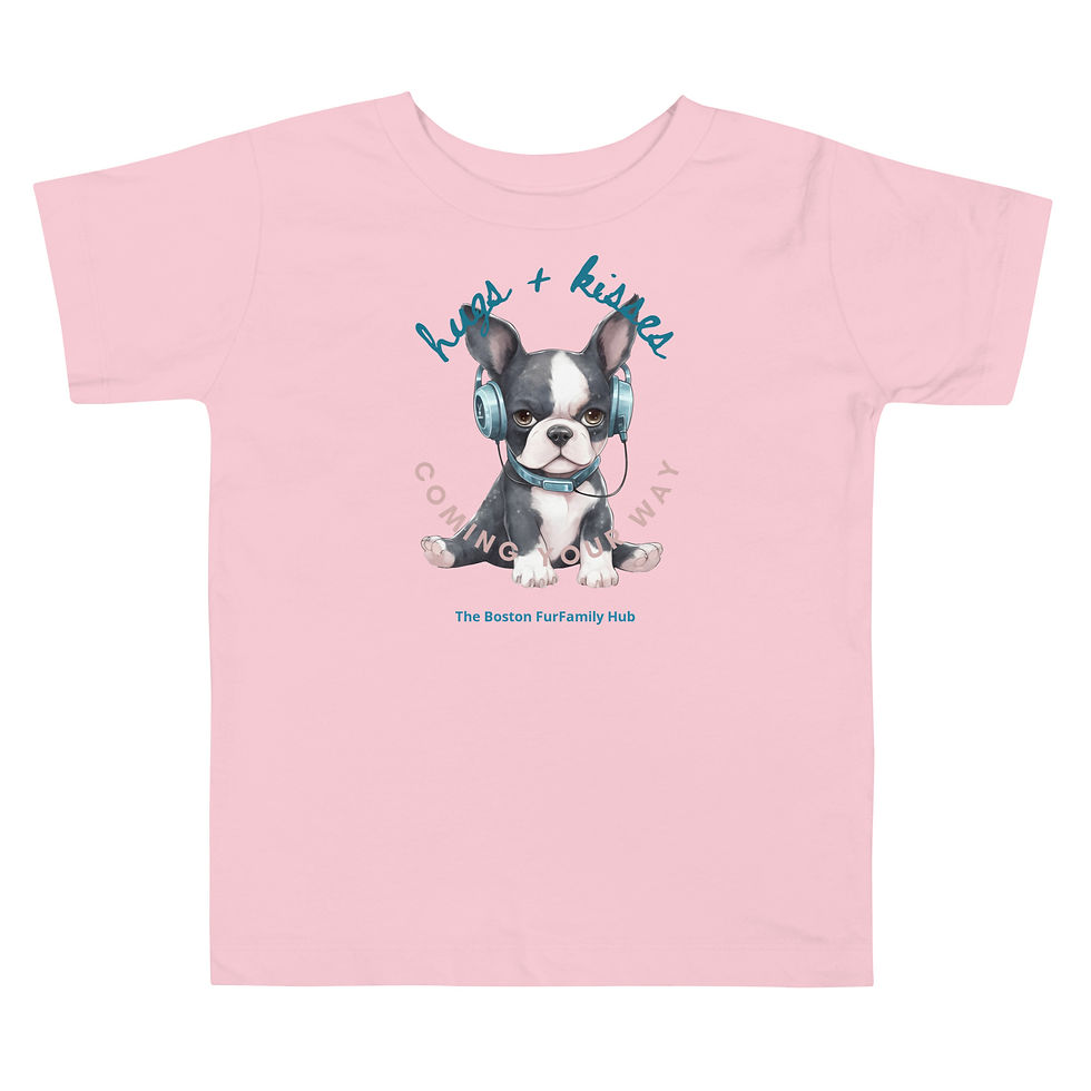 Thumbnail: Toddler T-shirt | 3 Colors | Sizes: 2T - 5T | Boston Hugs + Kisses Your Way
