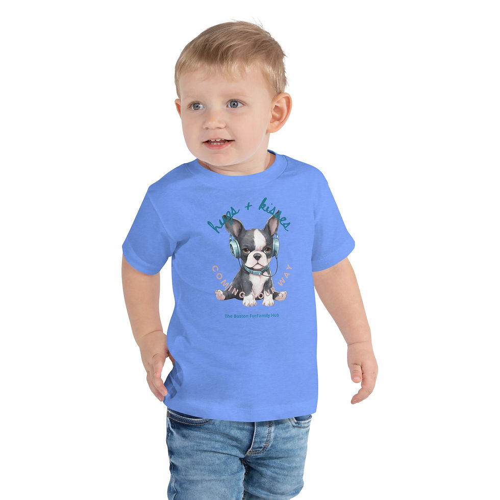 Thumbnail: Toddler T-shirt | 3 Colors | Sizes: 2T - 5T | Boston Hugs + Kisses Your Way