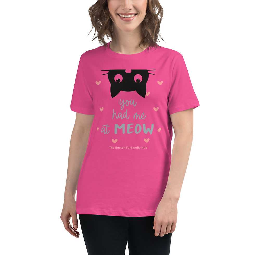 Thumbnail: T-Shirt | 5 Colors | Women | Sizes: S - 3XL |You Had Me at Meow