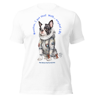 Screenshot 2025-03-19 at 10.48.19.png