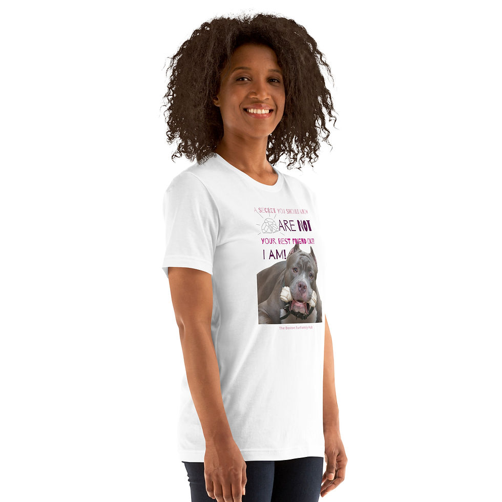 Thumbnail: T-shirt | 1 Color | Unisex | Sizes: XS - 5XL | Diamonds Are Not Girls BFF I am