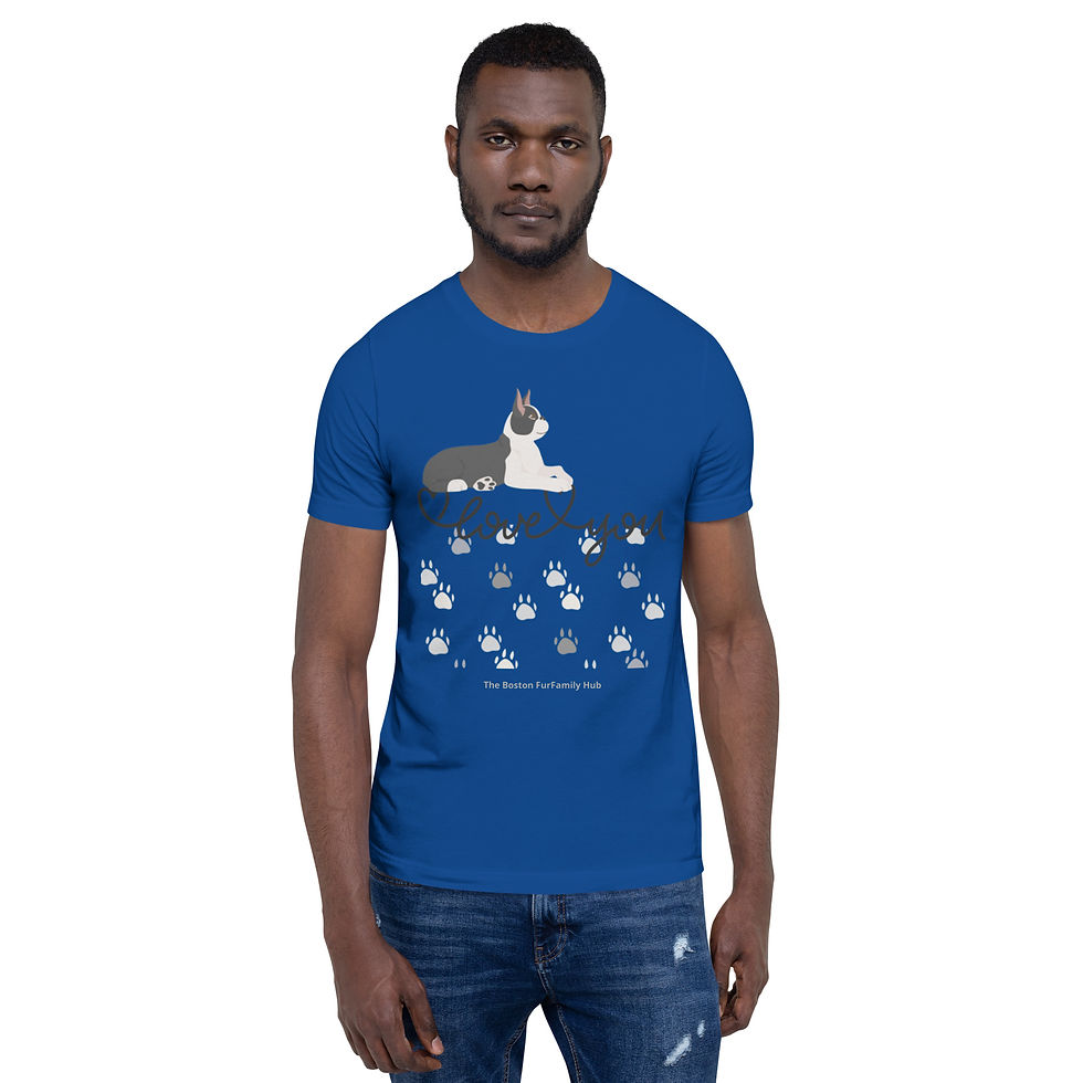 Thumbnail: T-Shirt | 9 Color | Unisex | Sizes: XS - 5XL | Boston I Love You