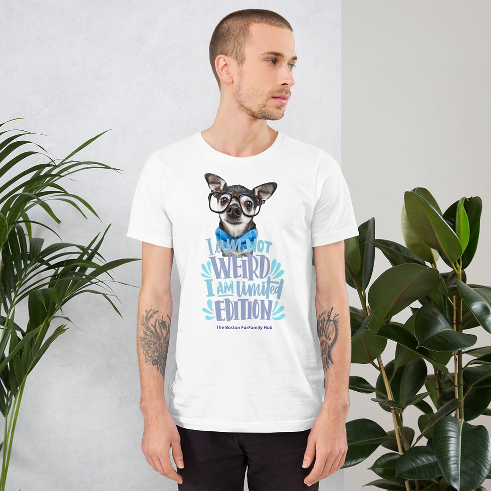Thumbnail: T-Shirt | 8 Colors | Unisex | Sizes: XS - 5XL | I'm Limited Edition