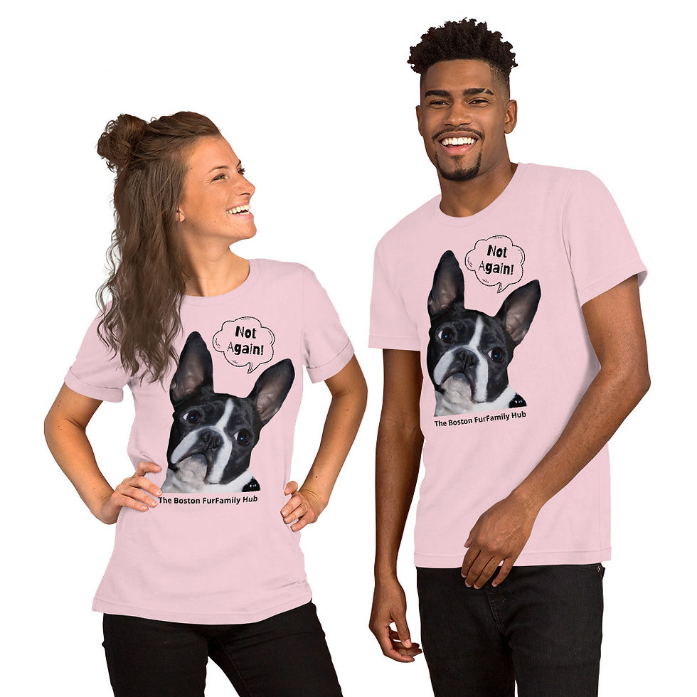 Thumbnail: T-Shirt | 7 Colors | Unisex | Sizes: XS - 5XL | Boston Not Again