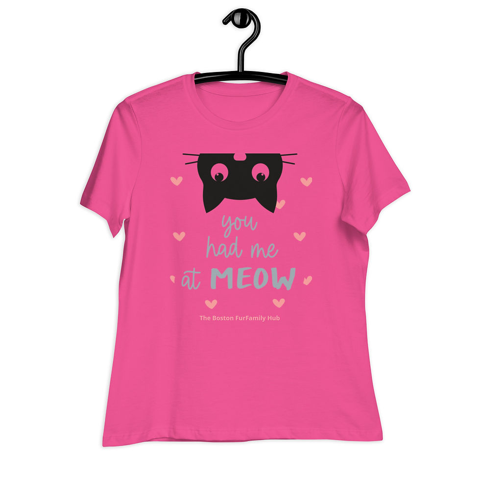 Thumbnail: T-Shirt | 5 Colors | Women | Sizes: S - 3XL |You Had Me at Meow