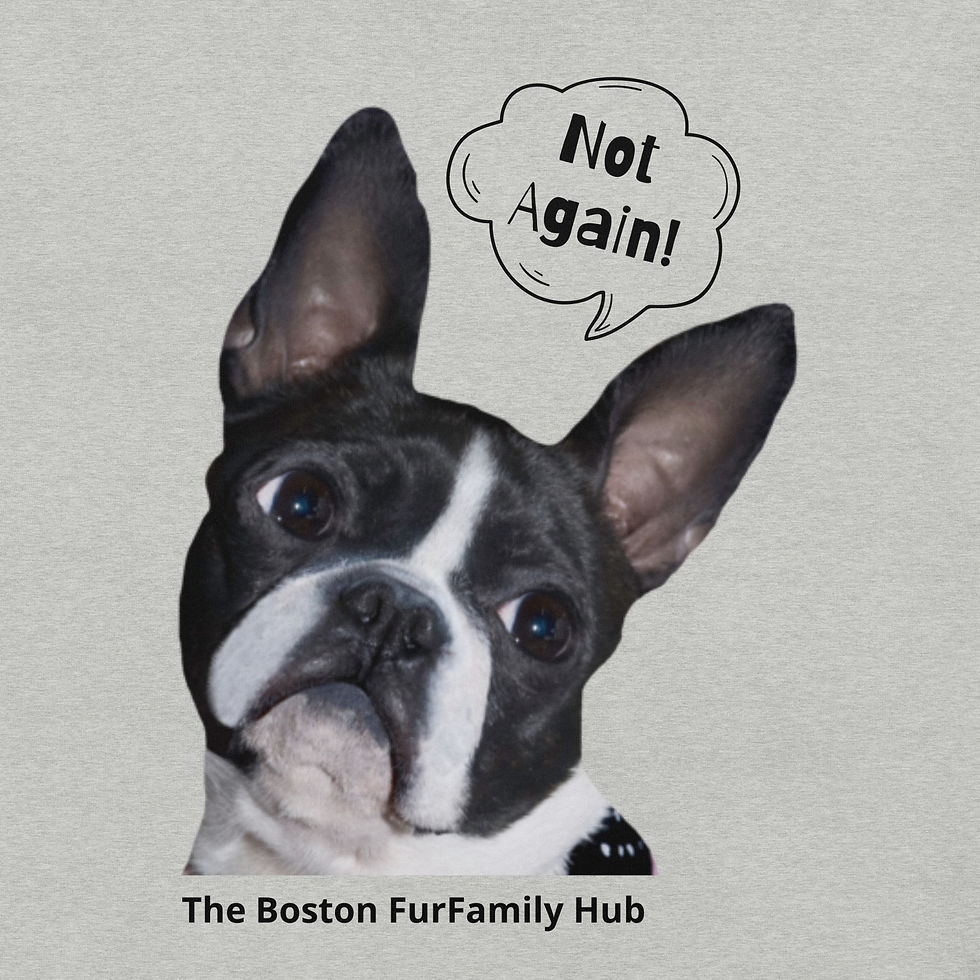 Thumbnail: T-Shirt | 7 Colors | Unisex | Sizes: XS - 5XL | Boston Not Again