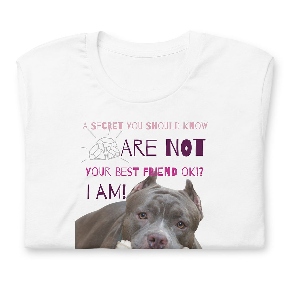Thumbnail: T-shirt | 1 Color | Unisex | Sizes: XS - 5XL | Diamonds Are Not Girls BFF I am