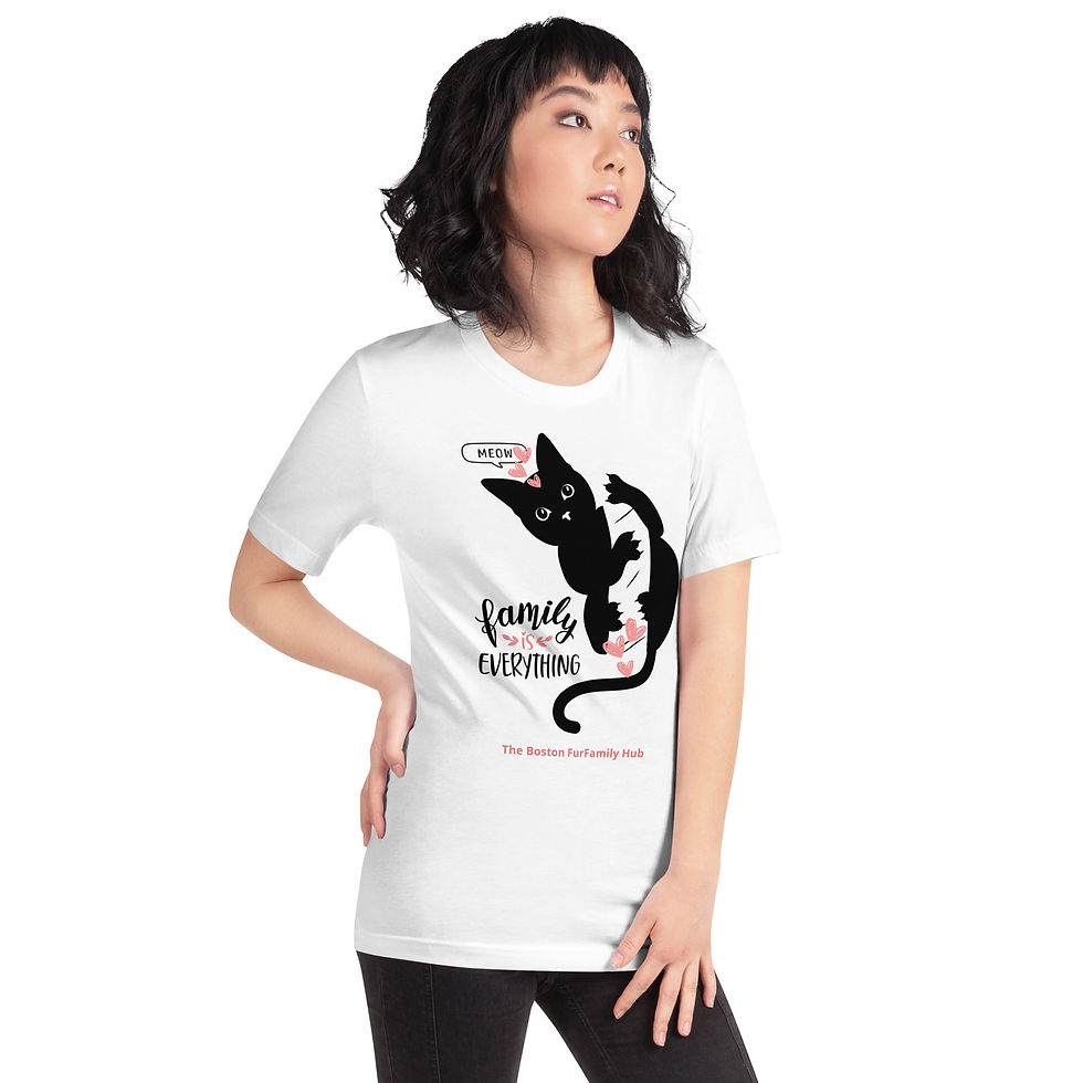 Thumbnail: T-Shirt | 5 Colors | Unisex | Sizes: XS - 5XL | Black Cat Everything is Family