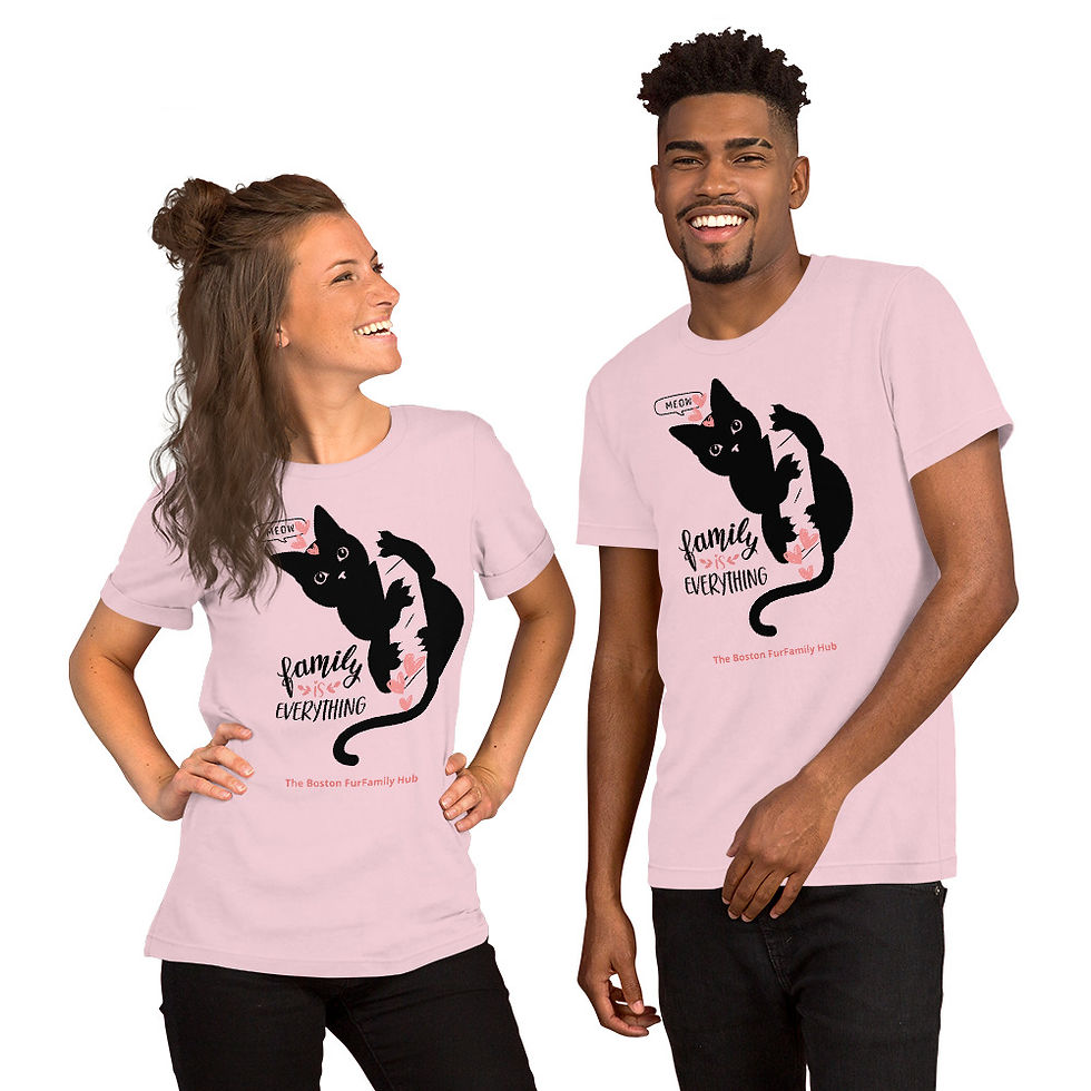 Thumbnail: T-Shirt | 5 Colors | Unisex | Sizes: XS - 5XL | Black Cat Everything is Family
