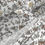 Thumbnail: Under the Forest Canopy Sheets