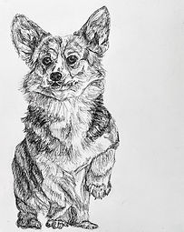 Corgi.jpg