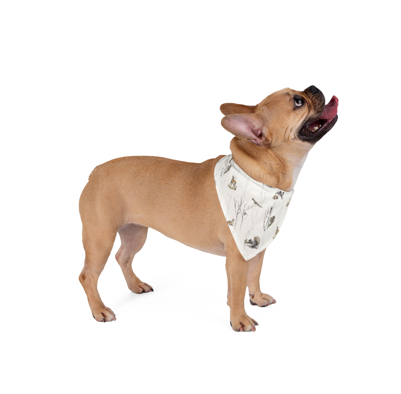 Forest Friends: Full Animal Dog Bandana