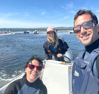 0736d5ad-f13c-4772-9c2b-f9c9d32b01df_edi