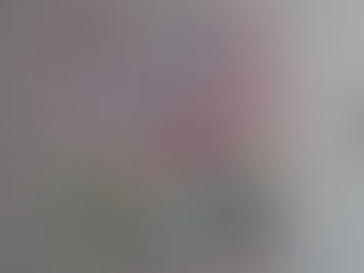 遅ればせながら…