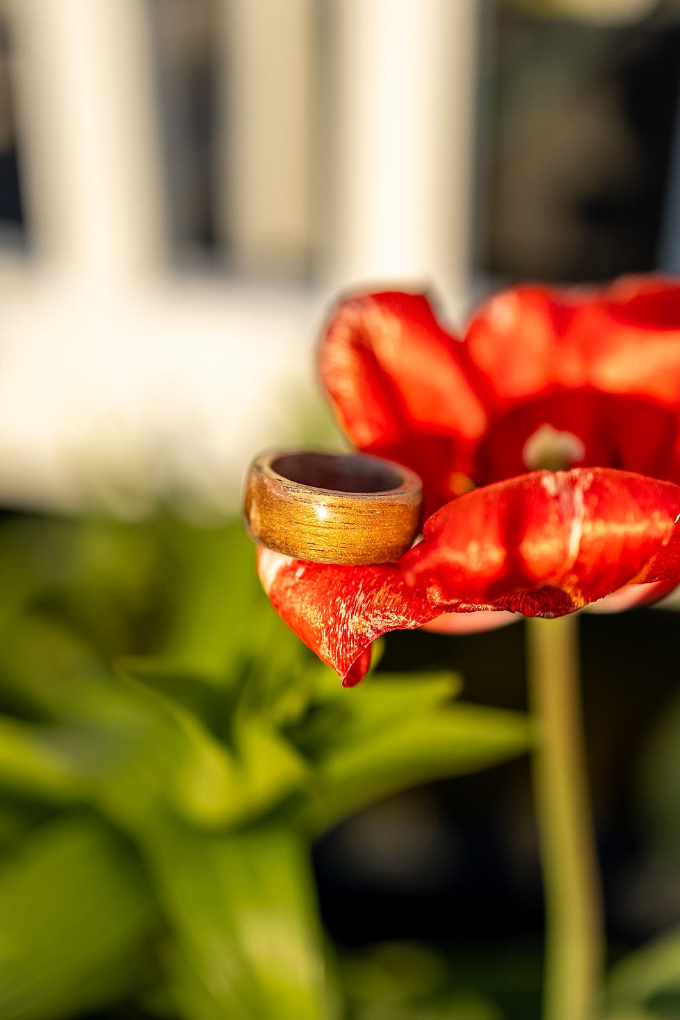 Thumbnail: Gold ring on a red flower petal