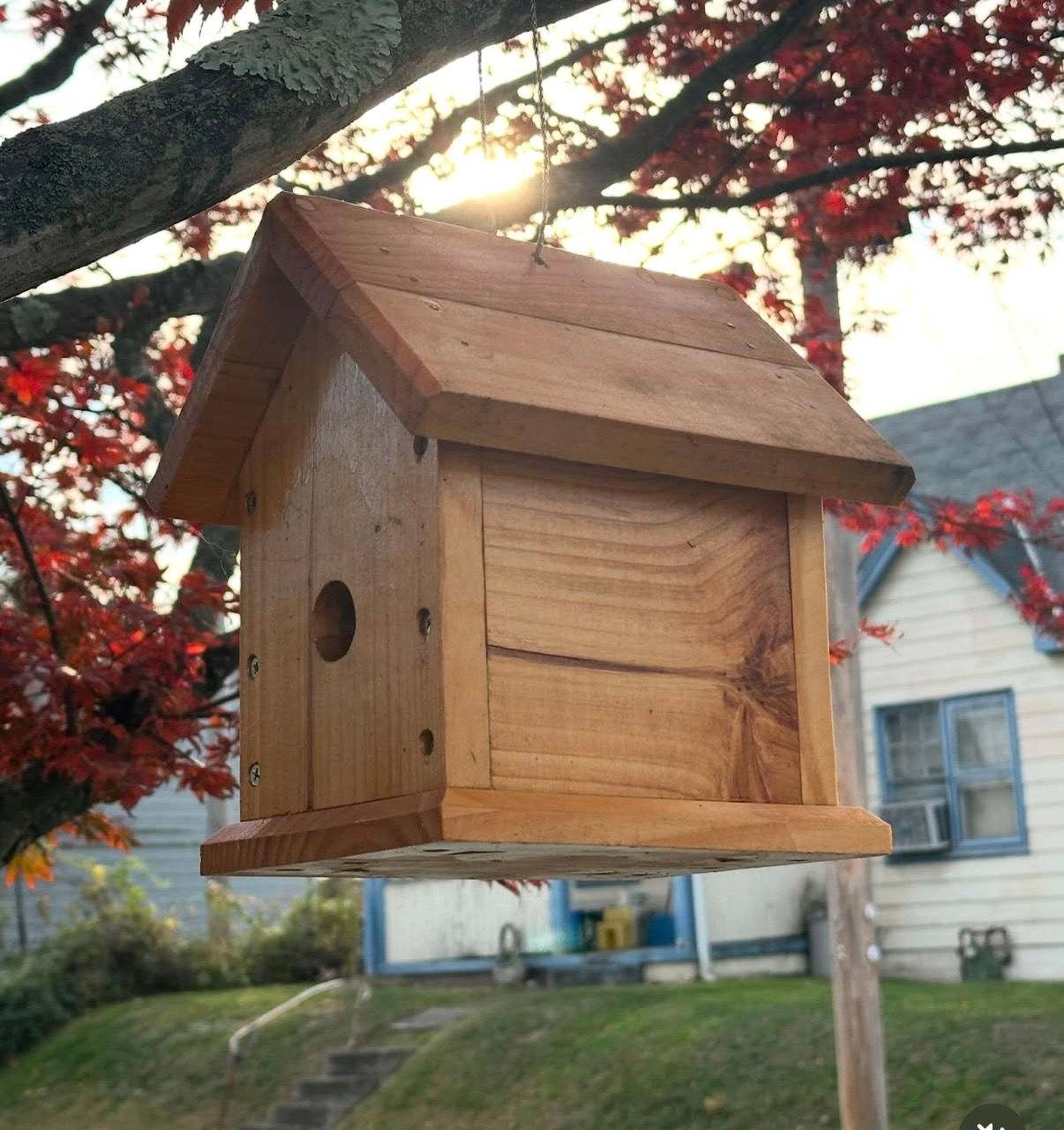 Wooden birdhouse hanging from a tree with red leaves