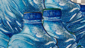 How much does a plastic bottle cost?