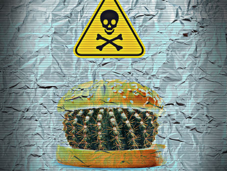 Why we must avoid foil when cooking?