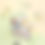 サムネイル： Mint Green（ミントグリーン）
