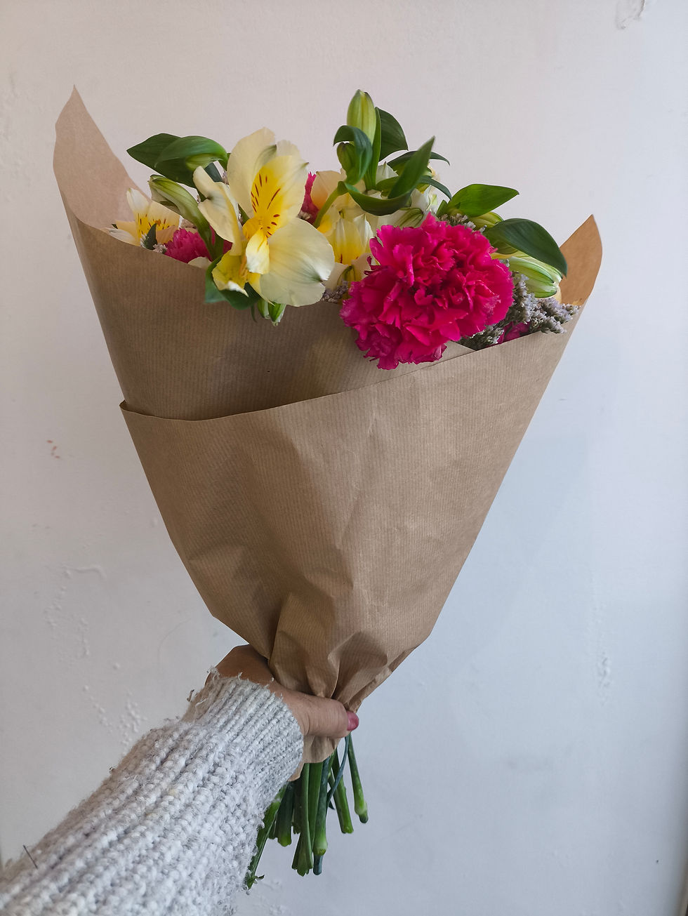 תמונה ממוזערת: אלסטרומריה וציפורן אמריקאית 