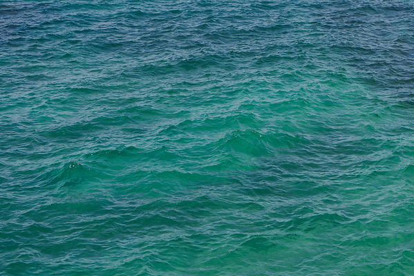 caribe-naturaleza-44_edited.jpg
