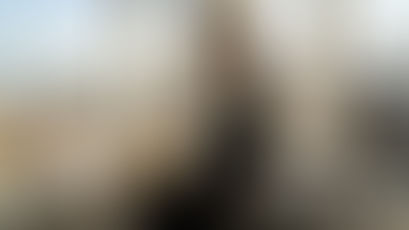 Swiss agent reviews real estate video in office