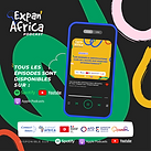 Expan'Africa podacst / L'essentiel afrique : 🌍🚀 Les normes et certifications : un passeport pour l'exportation en Afrique ! 