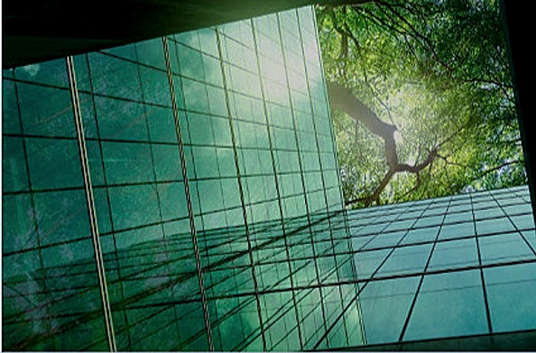 imgaen verde_edited_edited.jpg