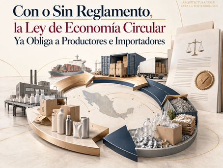 Línea de producción con envases clasificados para recuperación y sello de economía circular, México