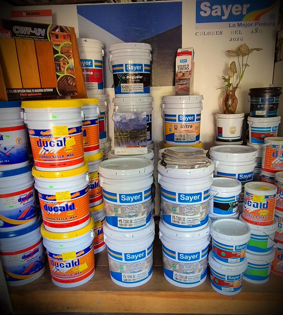 Estante con botes de pintura y selladores Sayer y Ducal.