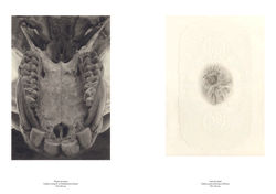 Lisa Ledwick Art Catalogue