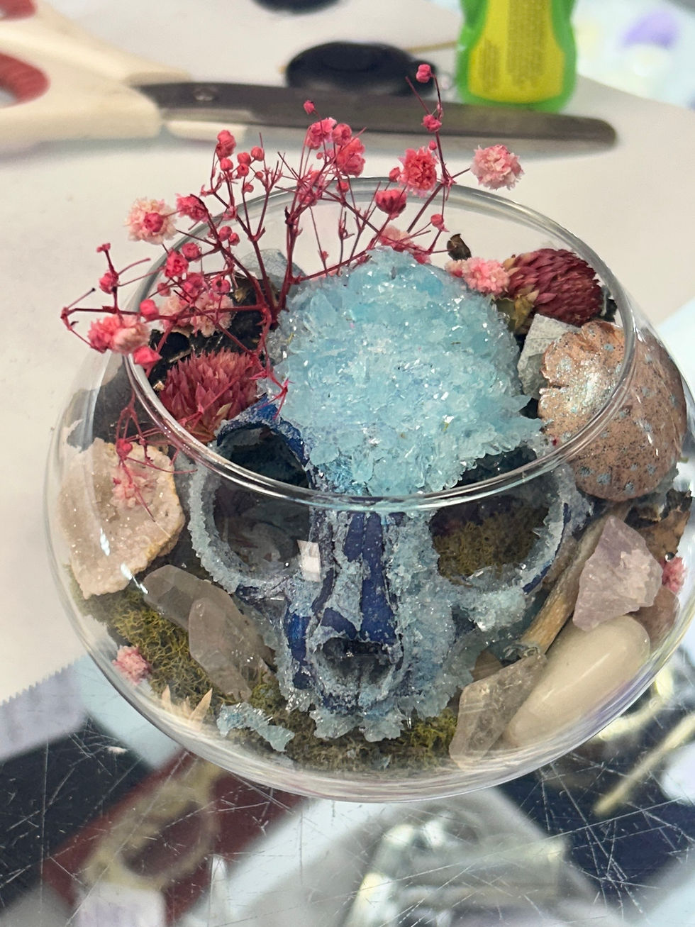 Thumbnail: Gorgeous Crystalized Kitten Skull Display