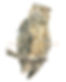 71A2C922-9BD6-464C-BE0B-50FDAC8BF7E6.jpeg