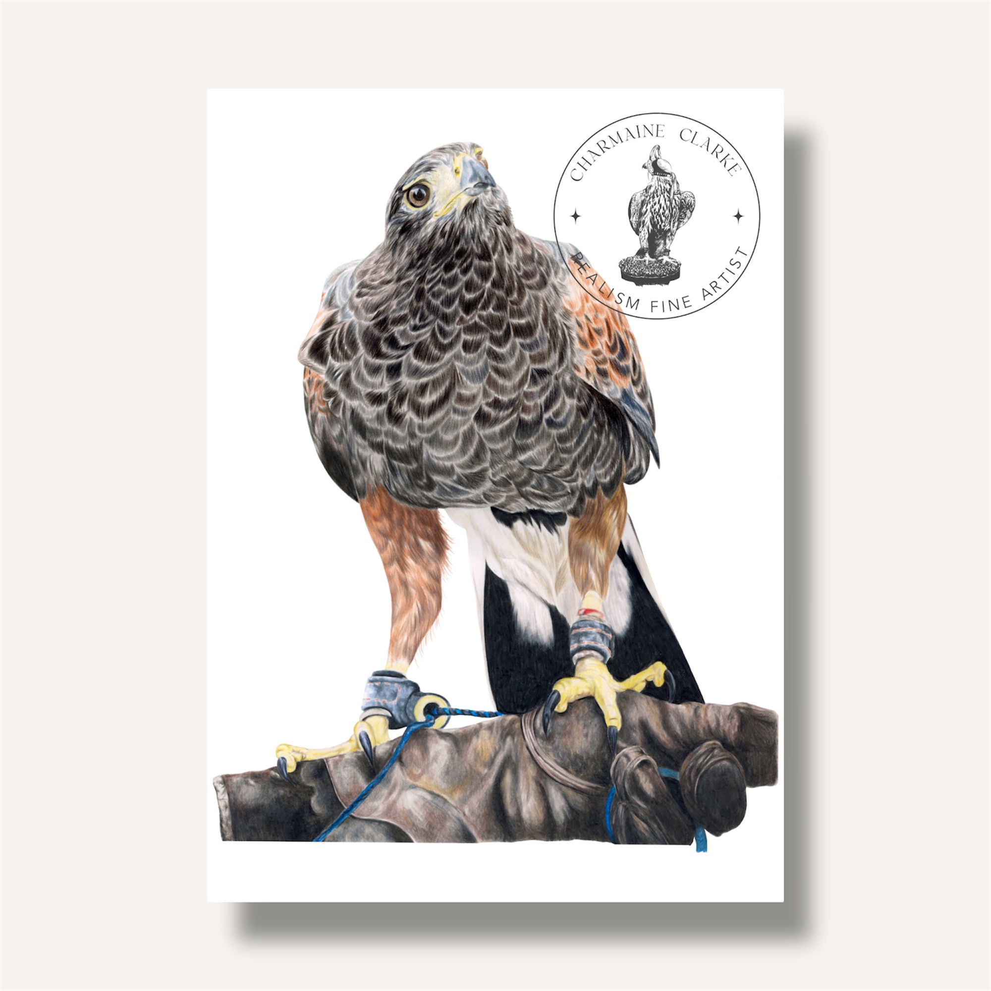 Fine Art Print - Harris on the Fist