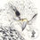 Thumbnail: Fine Art Print - Gyr Falcon