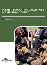 Urban Tree Planting Challenges.png