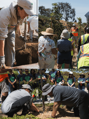 September 2025: Ready, Set, Grow San Diego