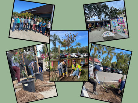 March 2022: First Plantings of the Year