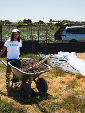 CCAC Fellows in the Field: Golden Volunteer Events