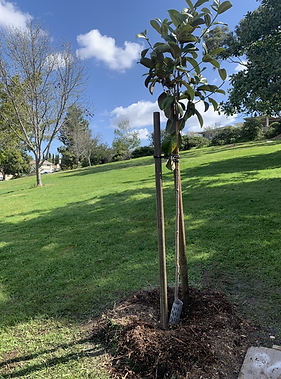 Screenshot 2023-08-07 at 3.10.03 PM.png