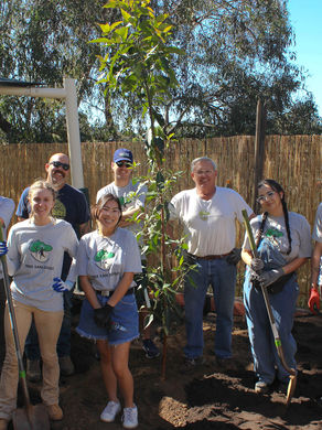 Abril de 2024: Inicio de la Temporada de Siembra de Primavera