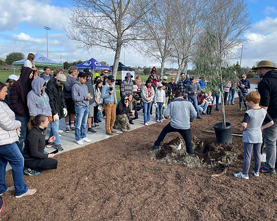 Oceanside planting_TSD_8.jpeg