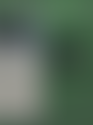 Julio 2024: Calor Urbano vs. Árboles Urbanos