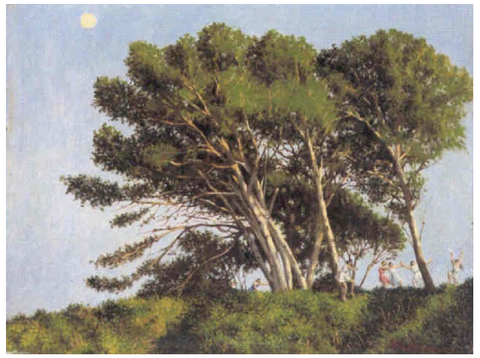 V110 - Arbres de la Côte d'Azur (1931)