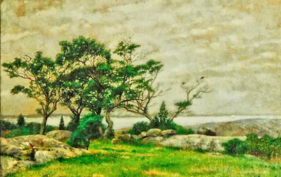 V019 - Les arbres de la côte (1904)